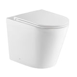 Toilet Pan
