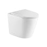 Berlin99 Wall - Faced Floor Pan - Nuvio - BEWFP - Toilet Pan