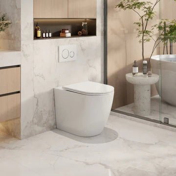 Norton99 Wall - Faced Floor Pan - Nuvio - NOWFP - Toilet Pan