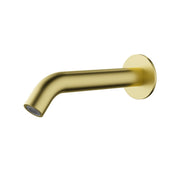 Spout