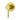 Otus Slimline Wall Mixer Trim Kits - Brushed Gold - Nuvio - PLC3001SS-TK-BG - Wall Mixer
