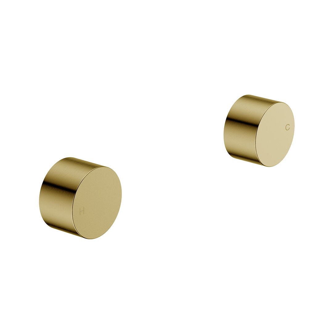 Tana Quater Turn Wall Top Assembly — Brushed Gold